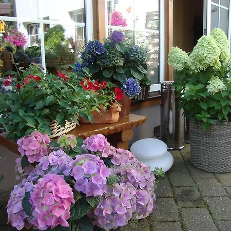 Bergschloesschen Pockau