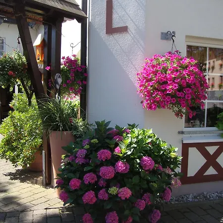 Bergschloesschen 3* Pockau