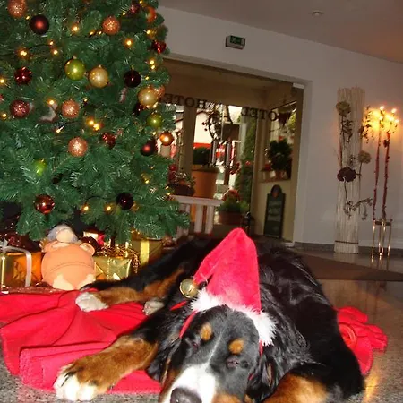 Bergschloesschen Hotel