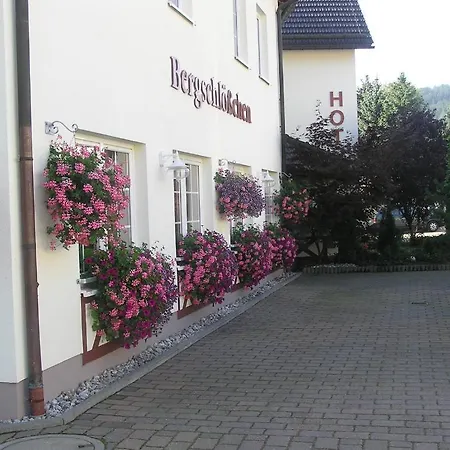 Bergschloesschen Pockau